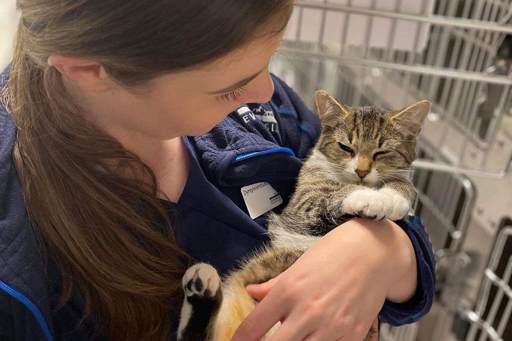 Dyrepleier holder sovende kattunge i armene