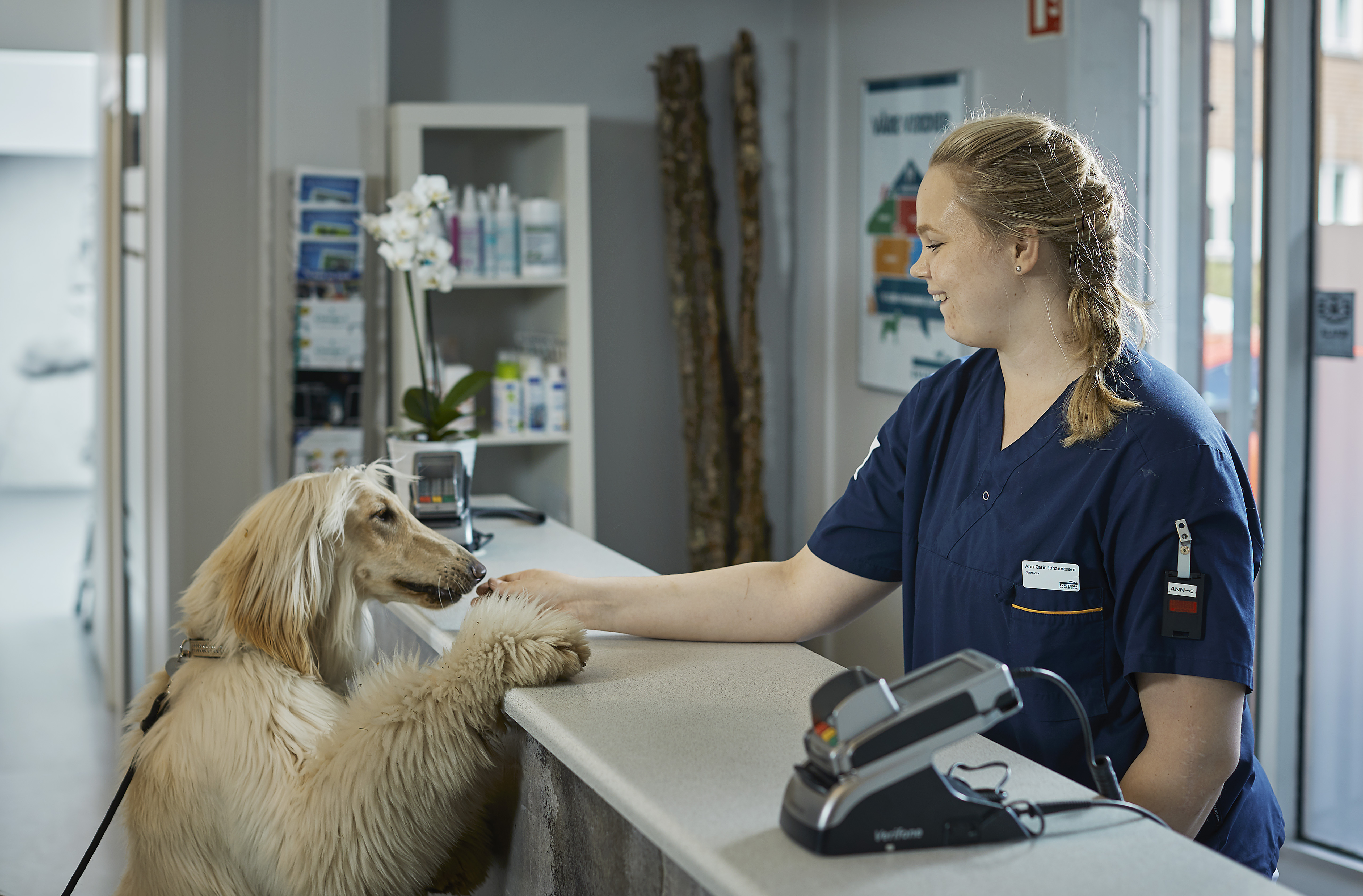 Hund ønskes velkommen hos Evidensia Sarpsborg Dyreklinikk