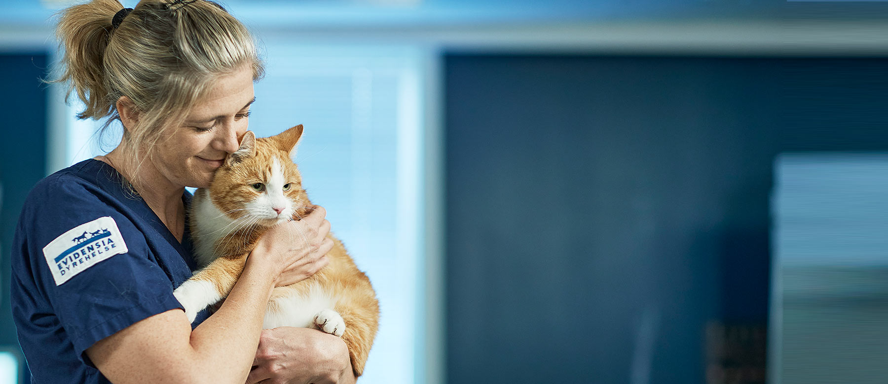 Veterinær og hund står hode mot hode