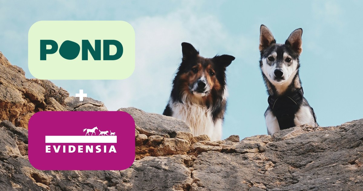 To hunder ser på logoene Evidensia + Pond