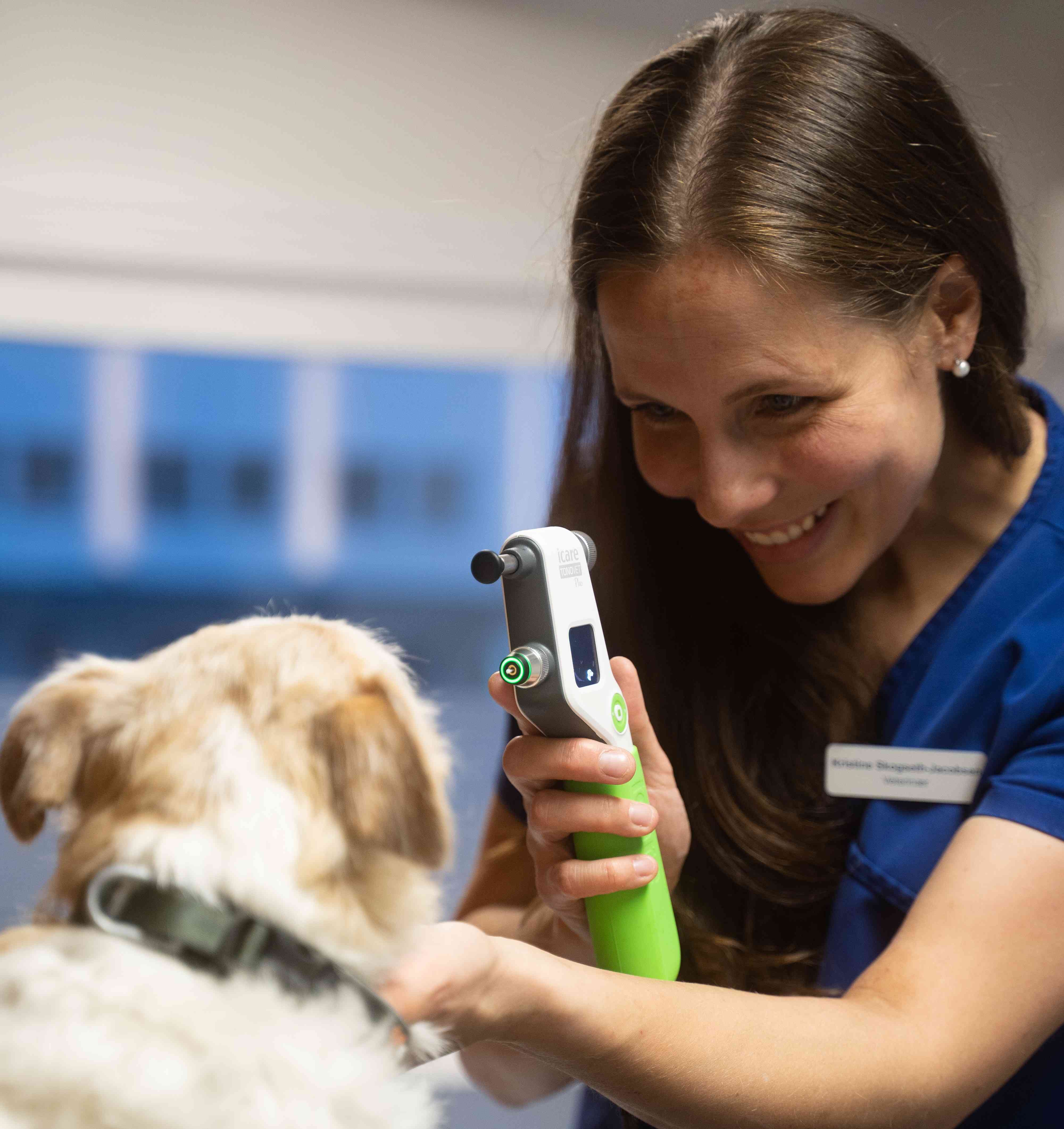 Dyrepleier lytter på hund