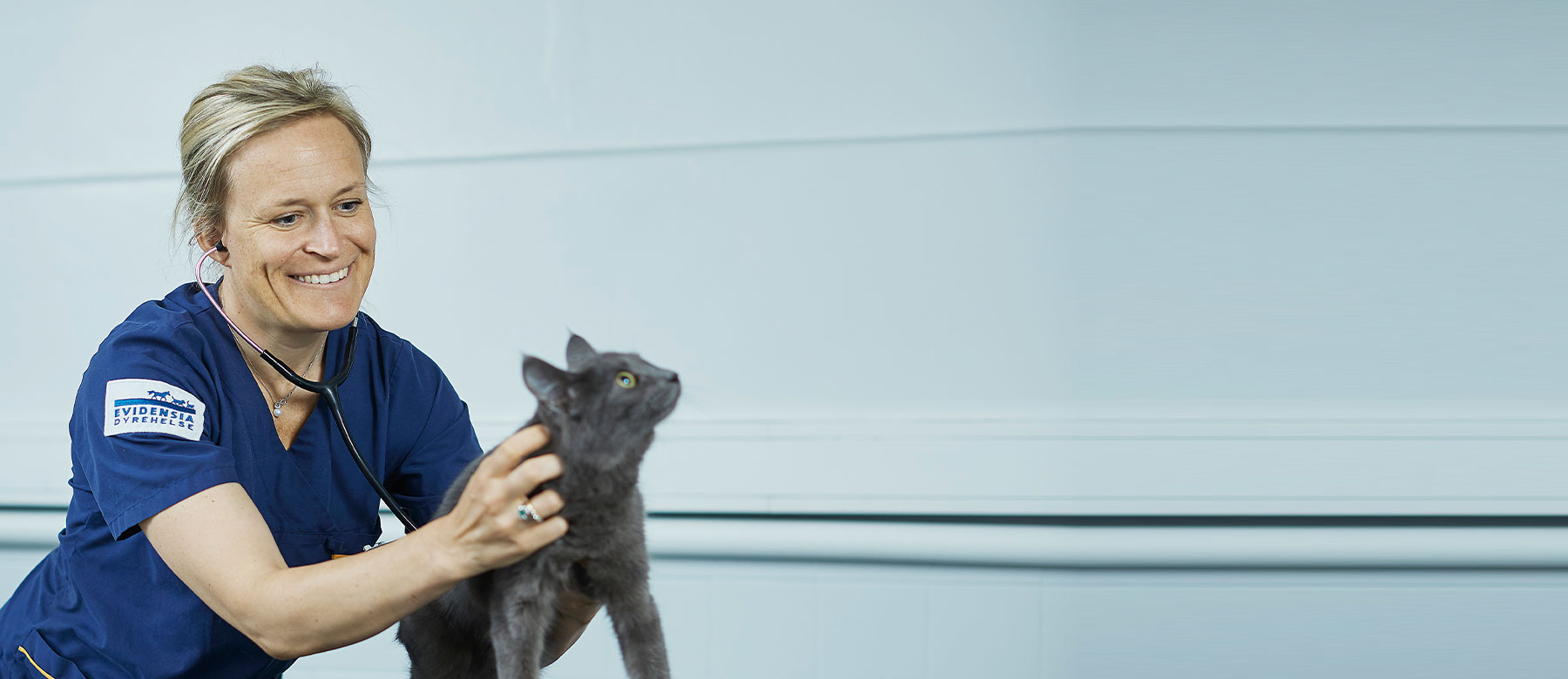 Veterinær utfører helseundersøkelse av katt