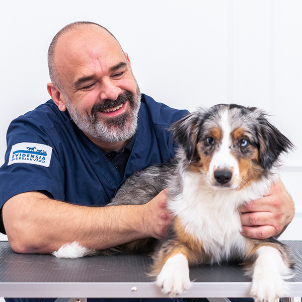 Ved å utføre en ukentlig helsesjekk av egen hund kan du raskere oppdage om noe ikke er som normalt