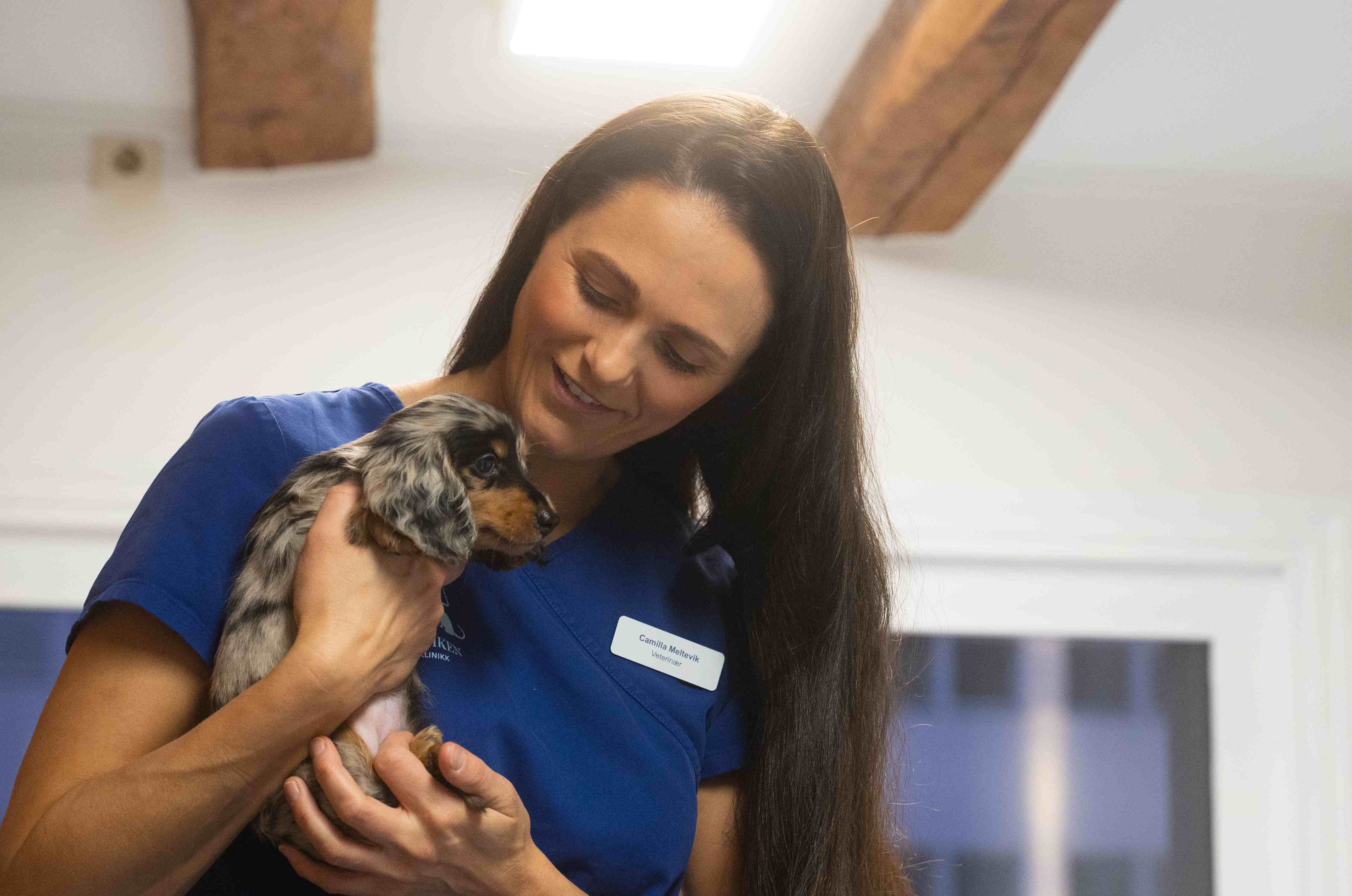 Dyreeier kommer med sin hund til dyreklinikken