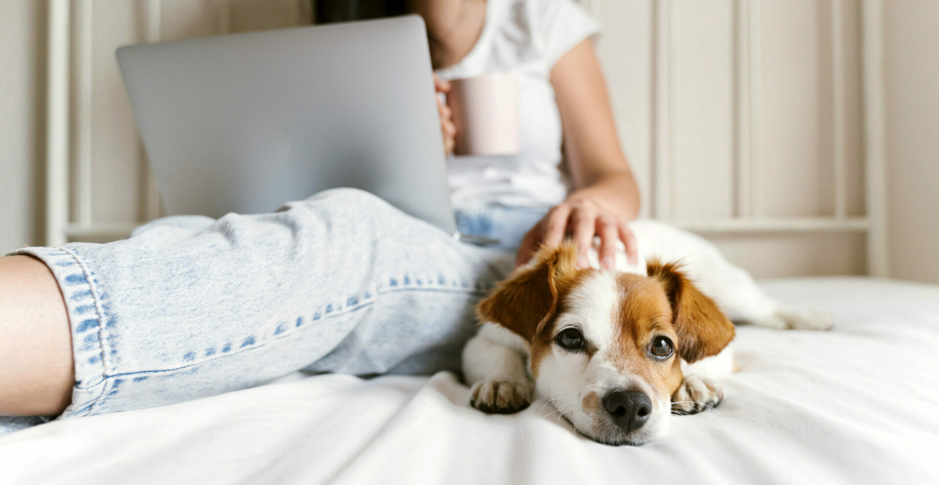 Dyreeier kommer med sin hund til dyreklinikken