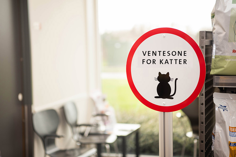 Kattefri ventesone er et av tiltakene ved våre klinikker som er sertifisert som Cat Friendly Clinic