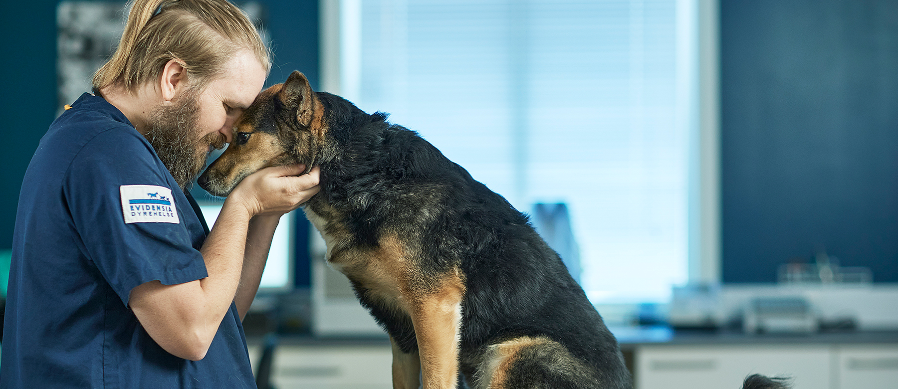 Veterinær koser med hund