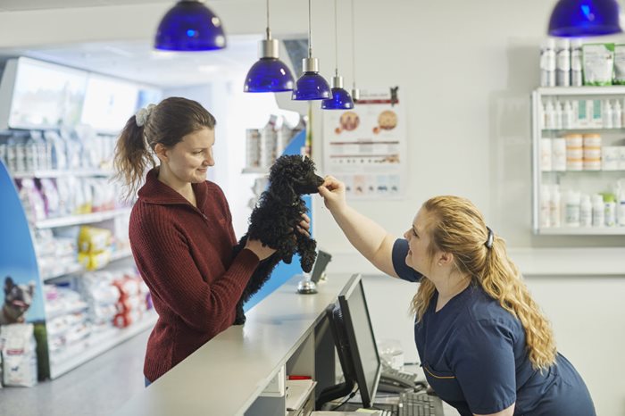 Resepsjonist hilser på valp som er på besøk hos dyreklinikken