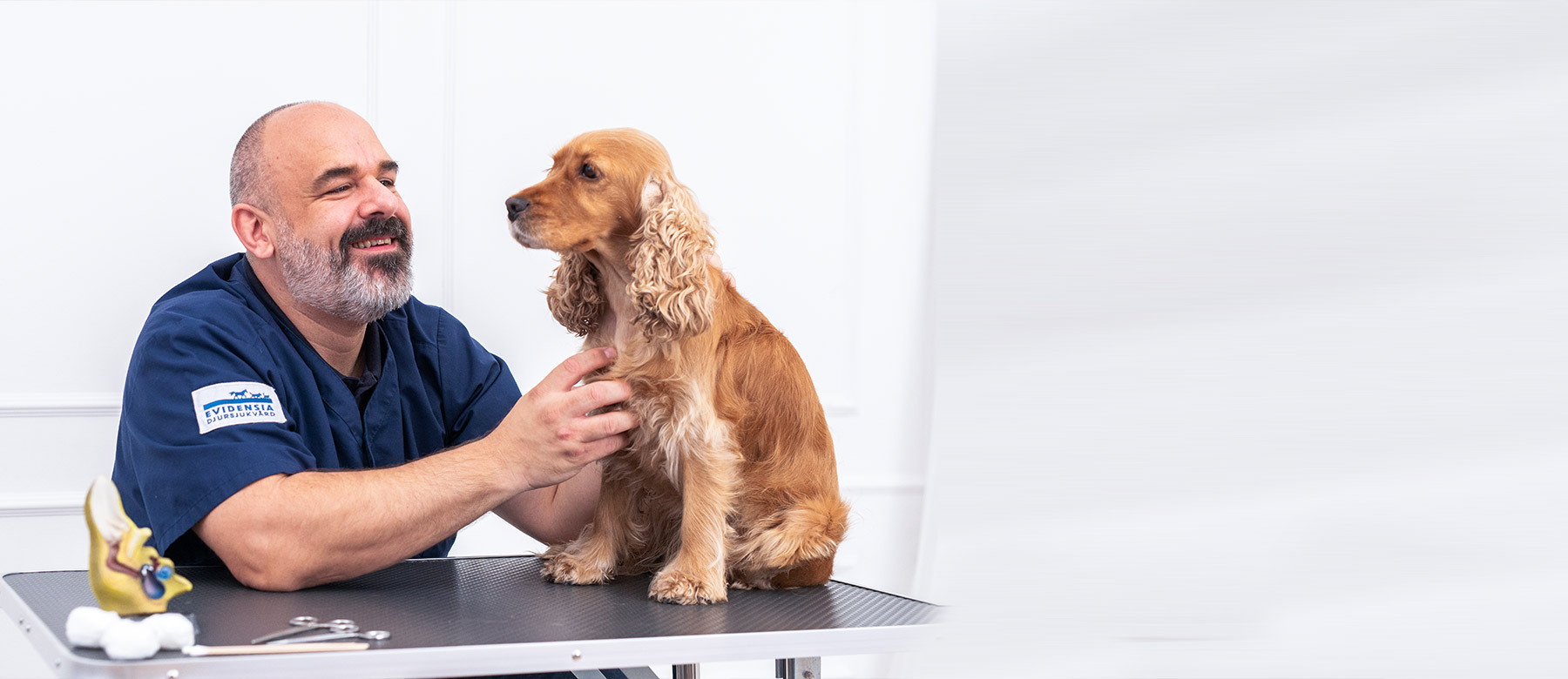 Veterinæren tipser om hvordan du gjennomfører en ukentlig sjekk av hud og ører på din hund