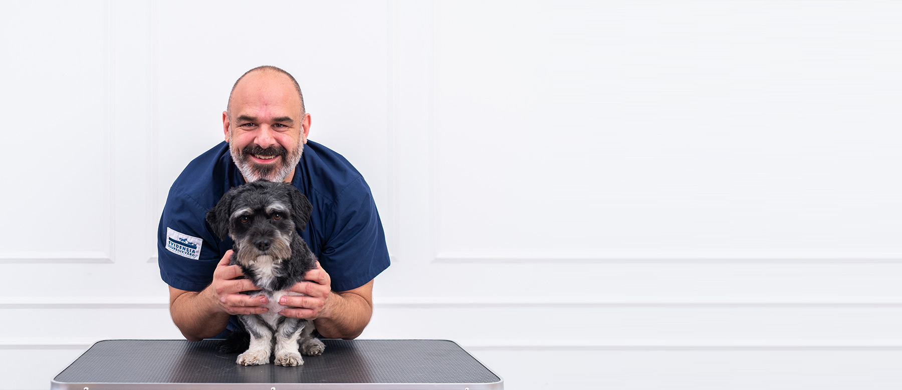 Veterinæren tipser om hvordan du gjennomfører en ukentlig sjekk av øynene på din hund