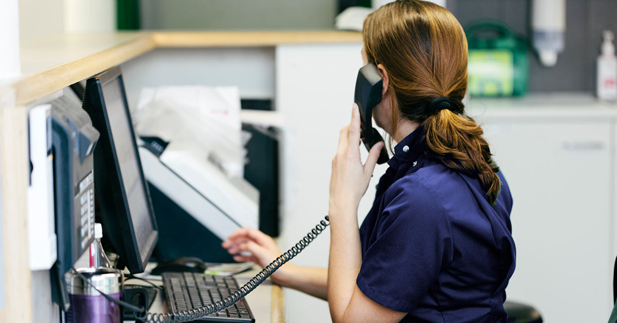 Ring veterinæren for prisestimat på behandling av kjæledyr