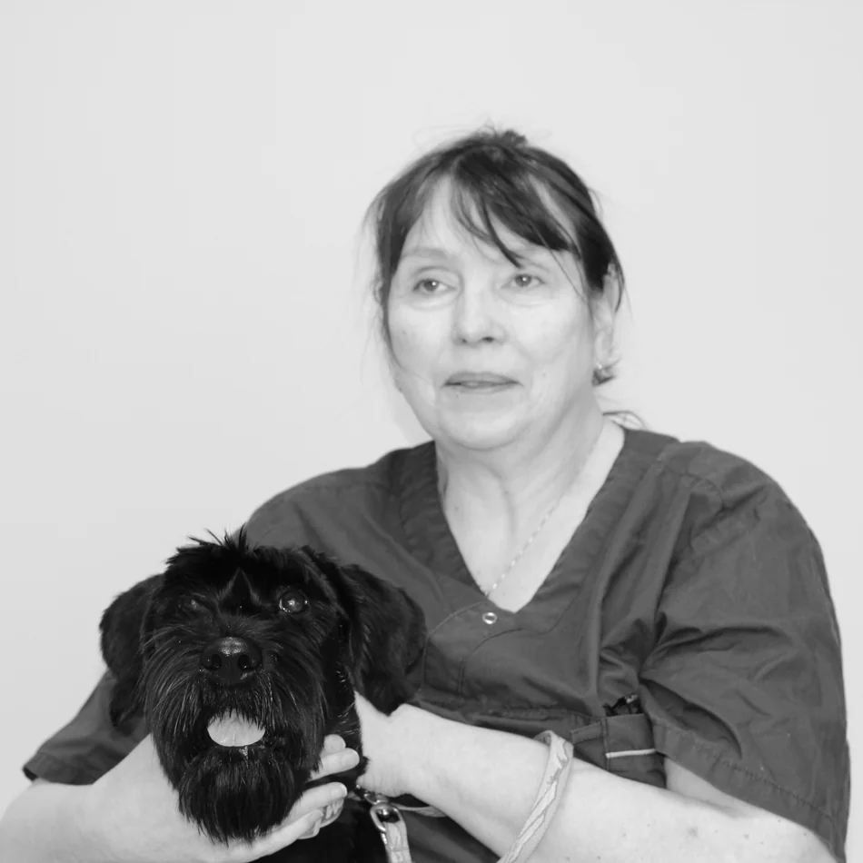 Veterinær Mona Svaleng Jenssen