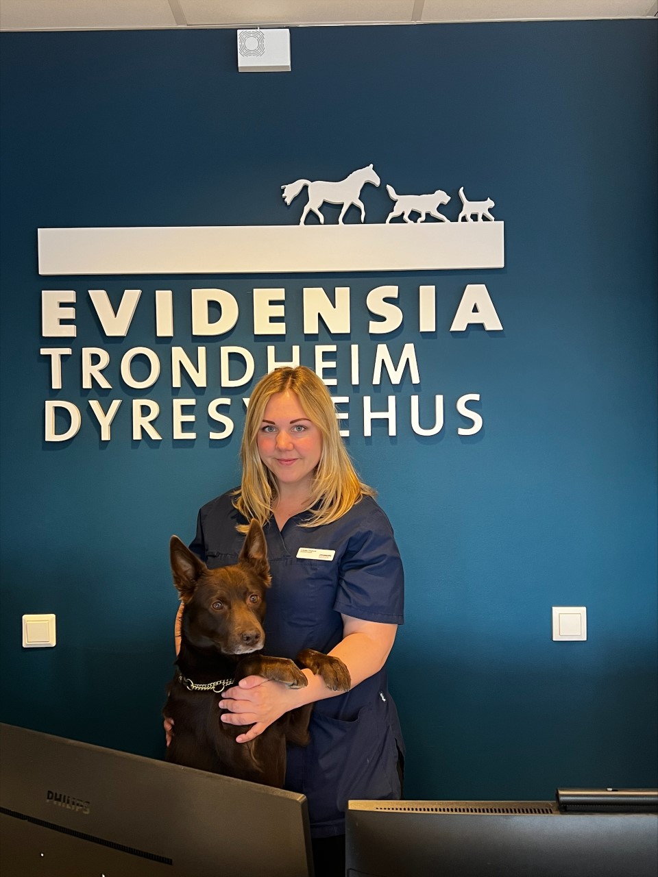 Linda Tretvik