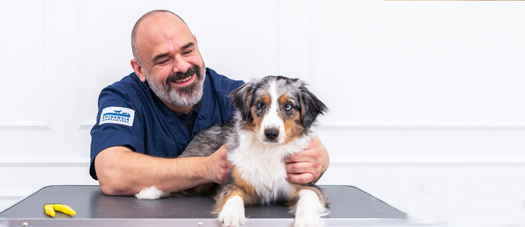 Ved å utføre en ukentlig helsesjekk av egen hund kan du raskere oppdage om noe ikke er som normalt