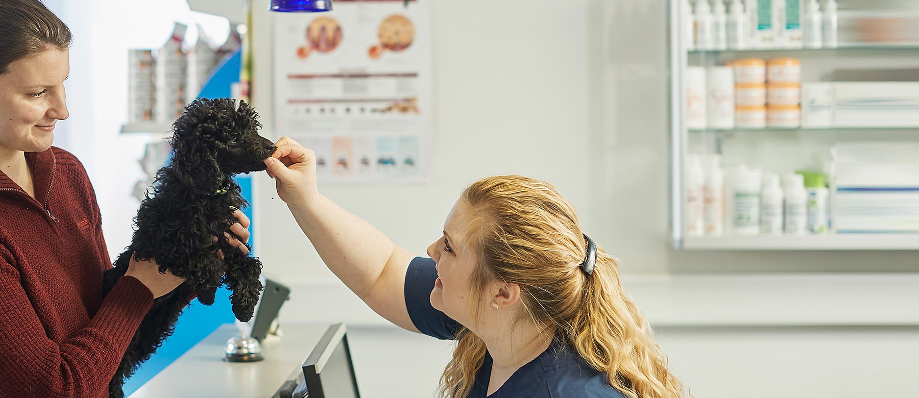 Evidensia Trøndelag Dyreklinikk
