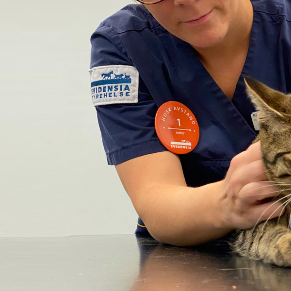 Dyrepleier undersøker katt