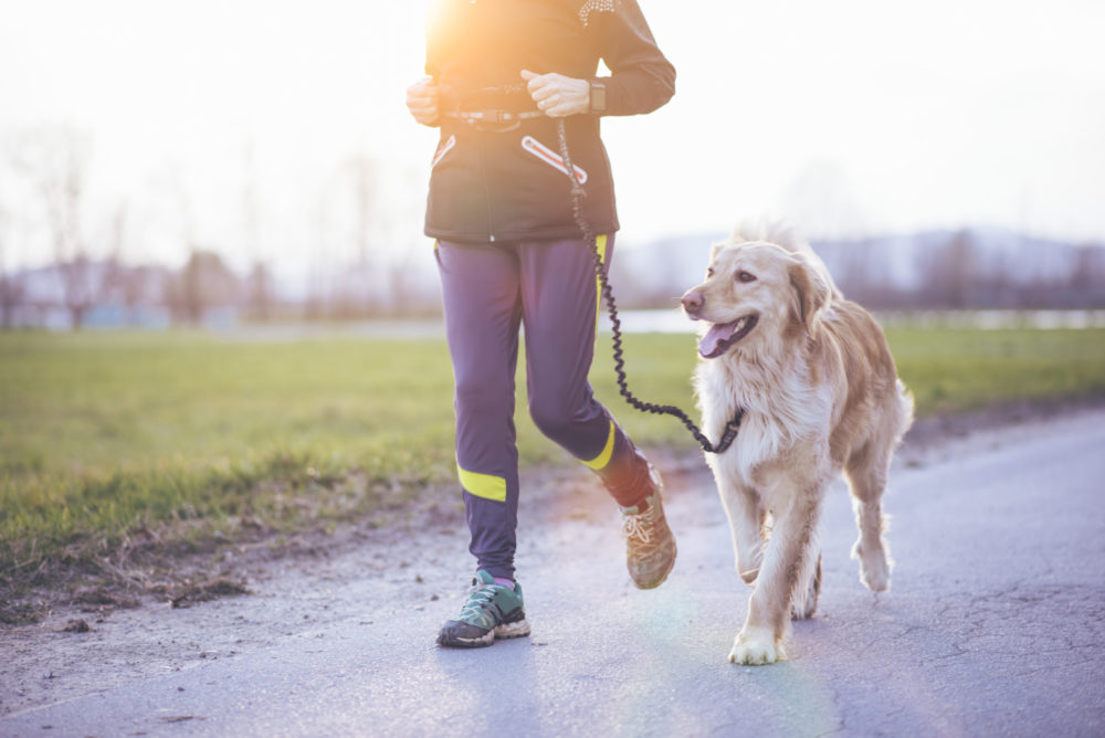 Løpe med hunden: klar, ferdig, jogg!