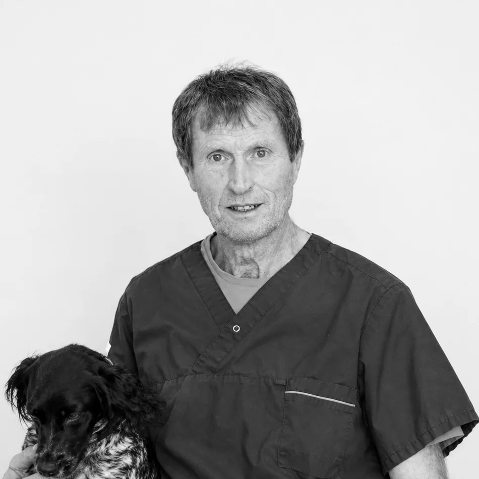 Ivar Skålbones