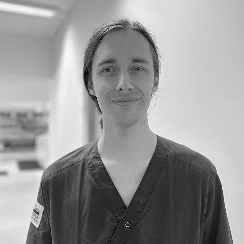 Tobias Palmgren