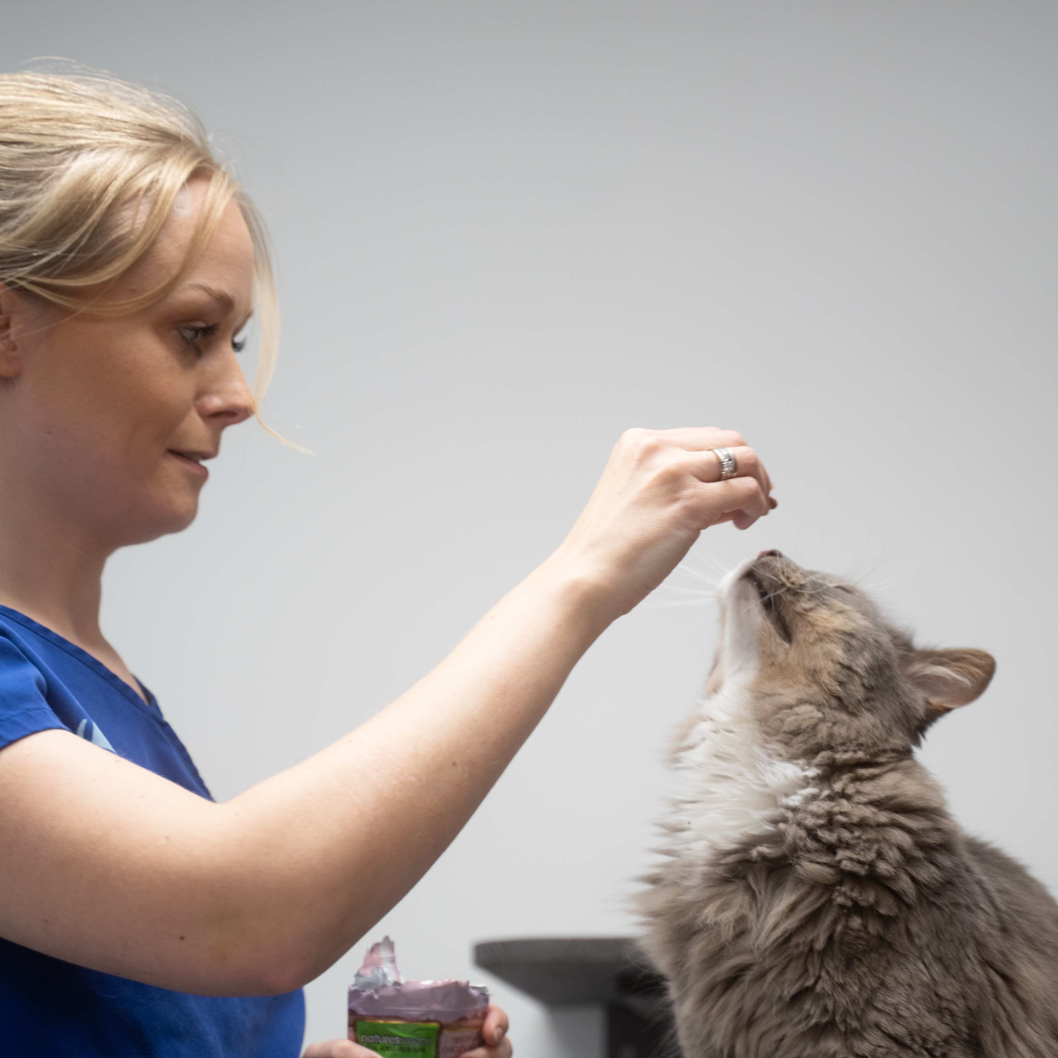 Bestill time hos veterinær via online booking