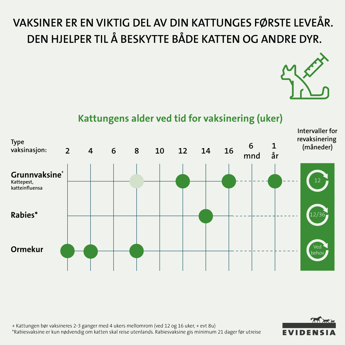 Tabell som viser intervaller for vaksine og ormekur for katt