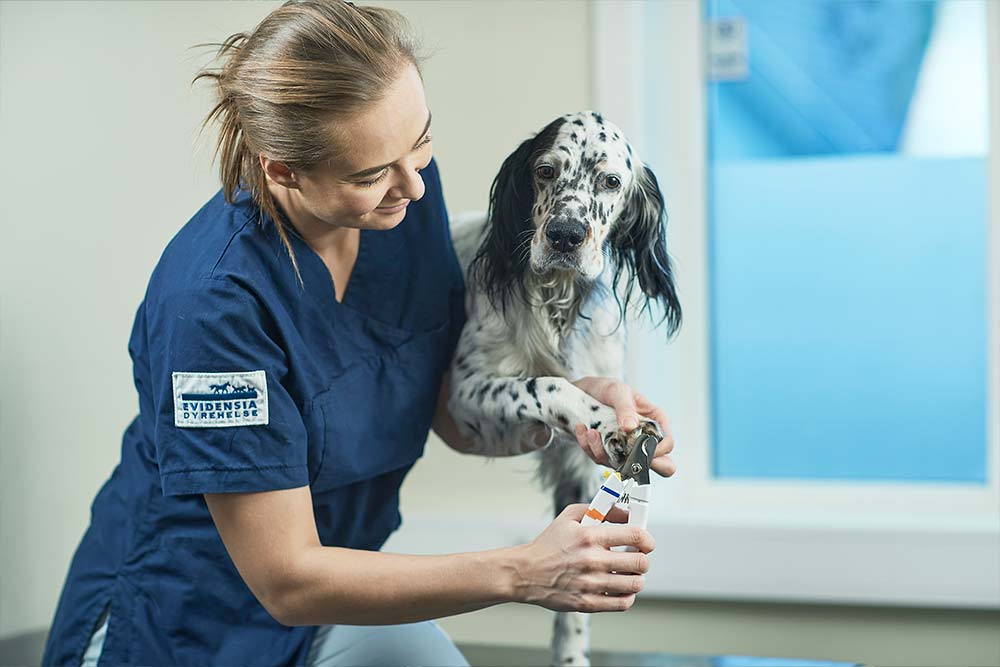 Lørenskog Dyreklinikk | Evidensia Dyrehelse