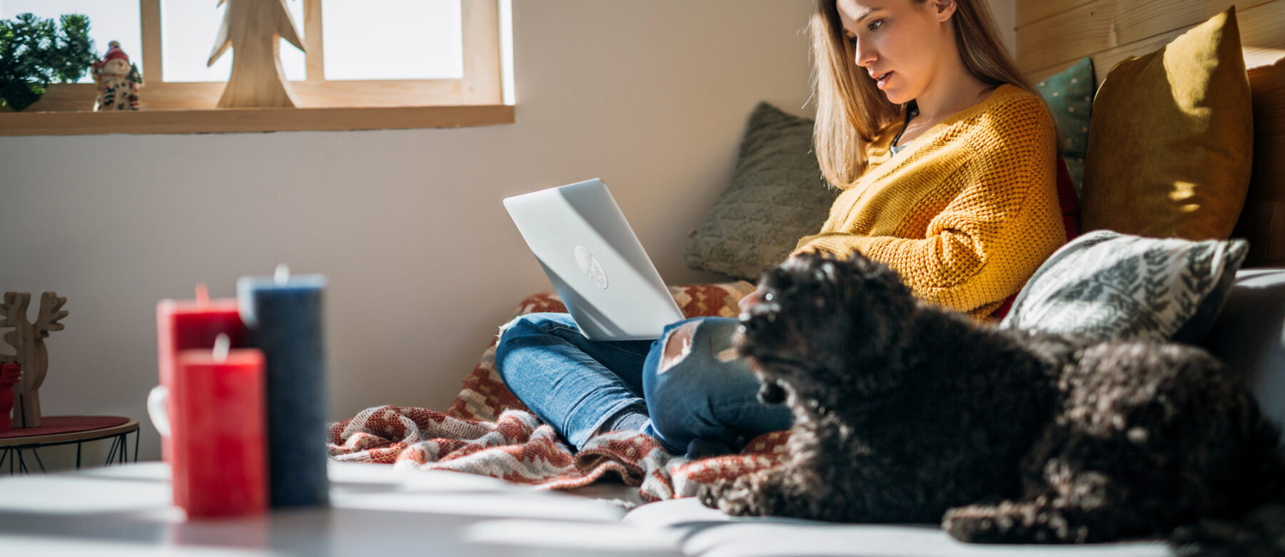 Bestill time hos veterinær med online booking - når som helst på døgnet