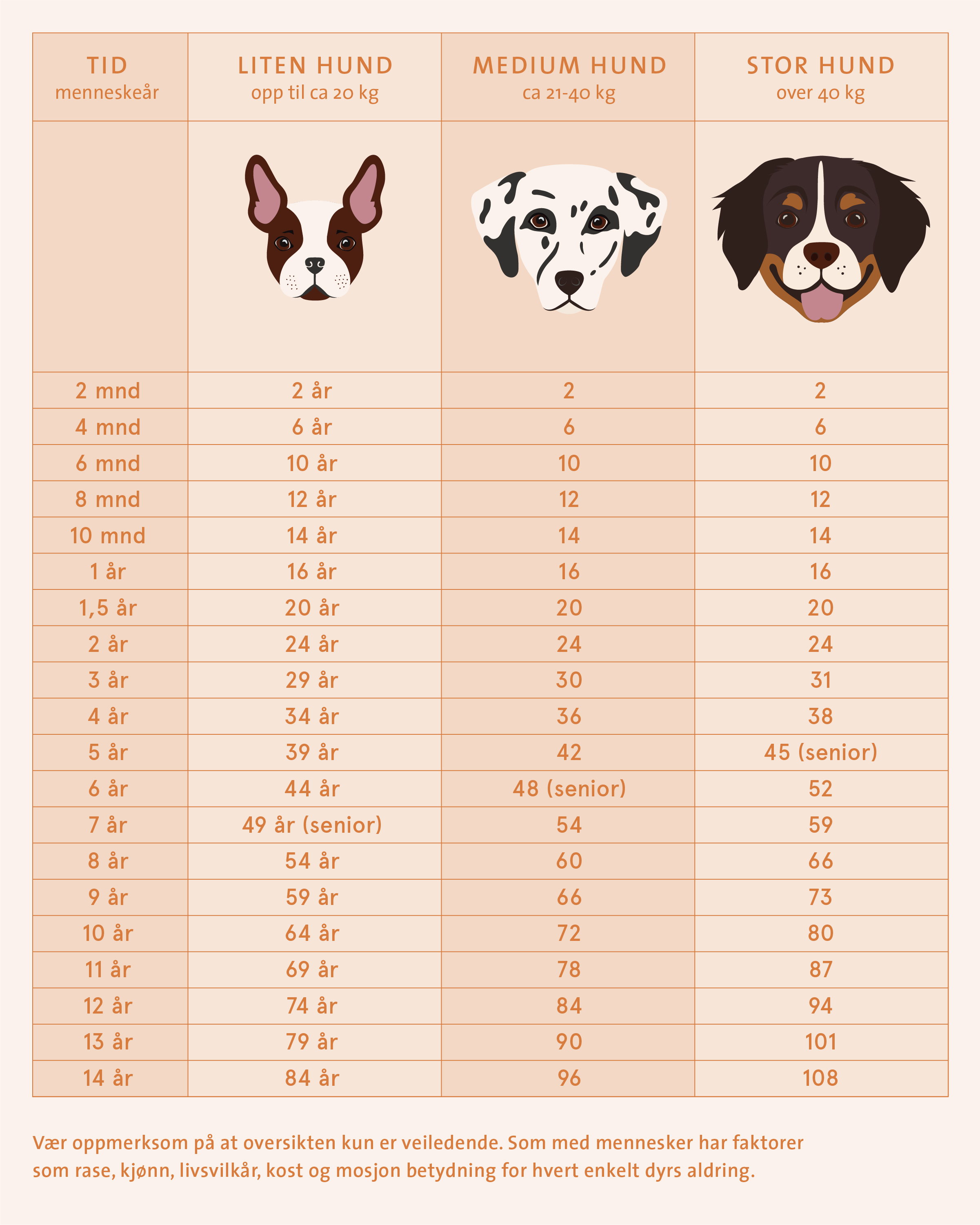 seniorhunden-evidensia-dyrehelse
