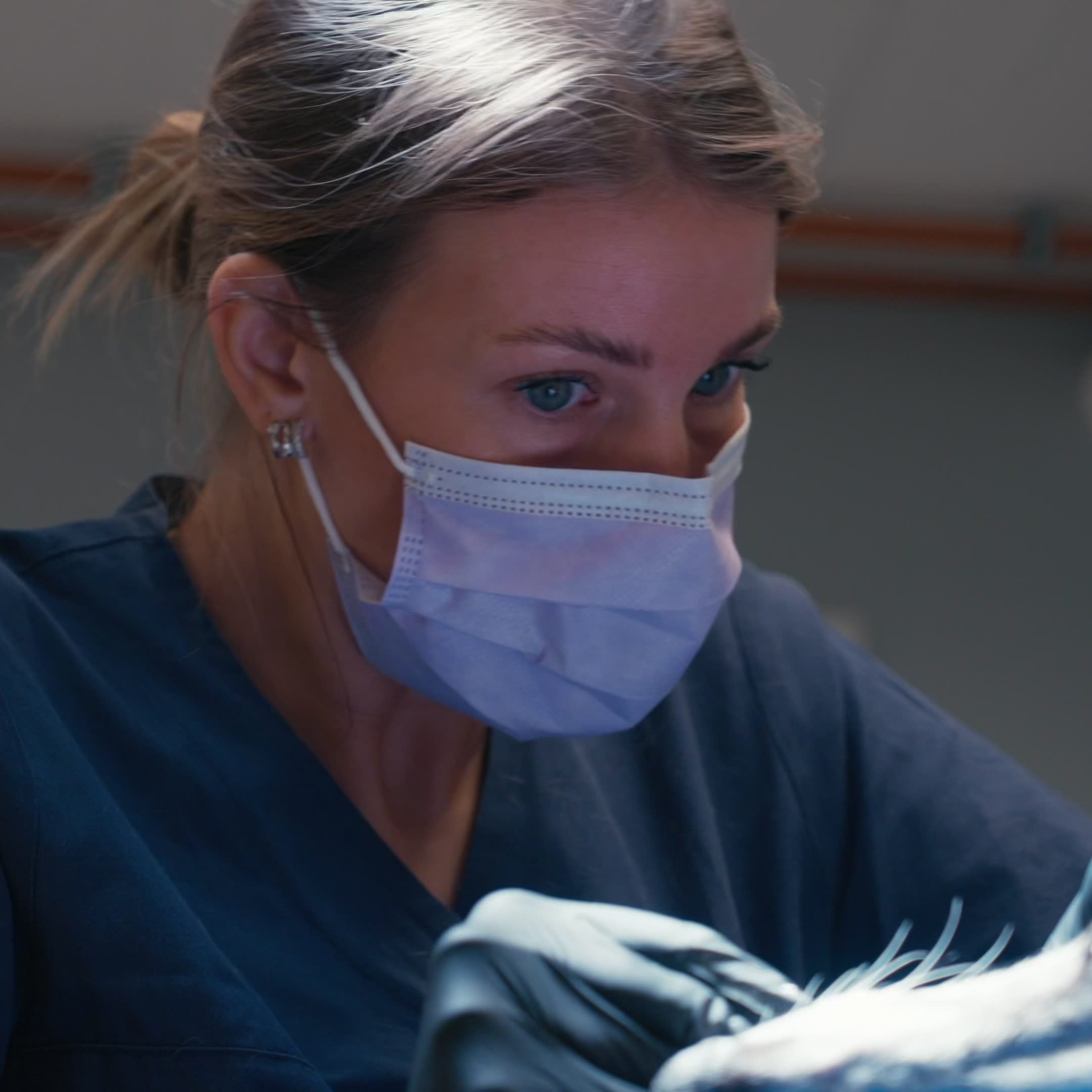 Evidensia Oslo Dyresykehus i Ole Deviks vei 10 på Alna