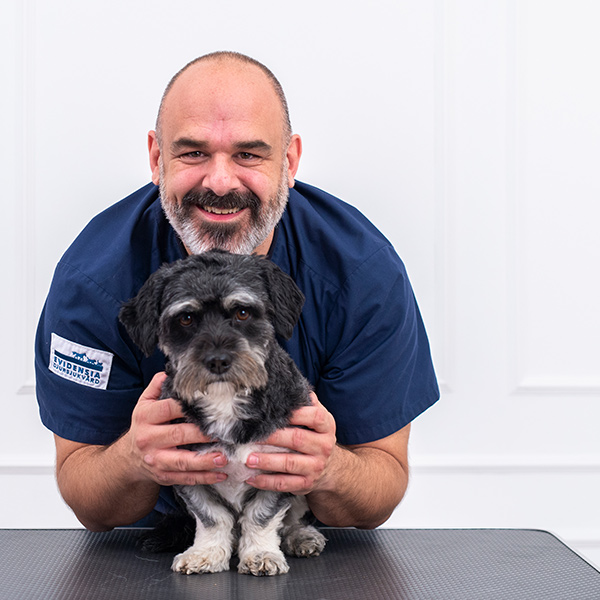 Veterinæren tipser om hvordan du gjennomfører en ukentlig sjekk av øynene på din hund