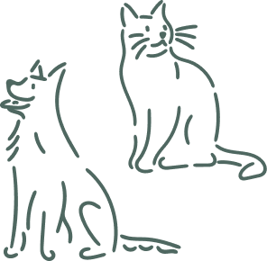 hund og katt